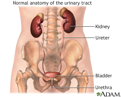 Osmolality urine - series