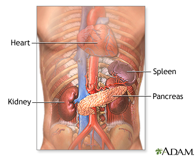 Pancreas and kidneys