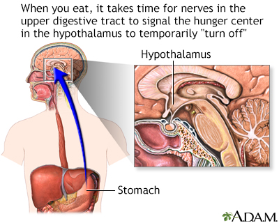 Hunger center in brain