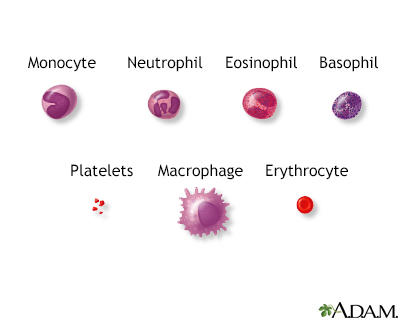 Blood cells