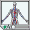 Blood flow