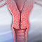 Pap smear
