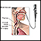 Upper airway test