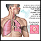 Tuberculosis of the lungs