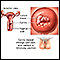 Cervical cancer