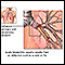 Causes of acute bronchitis