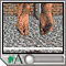 Ankle ligament injury