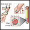 Antibody titer