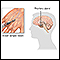 Growth hormone stimulation test